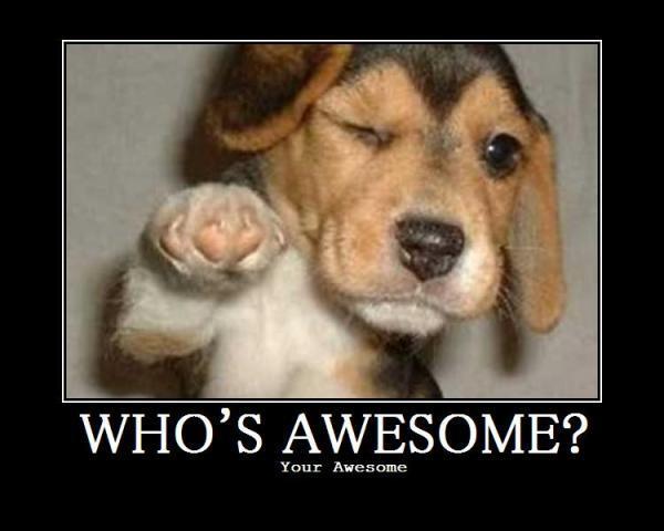 whos_awesome